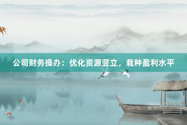 公司财务操办：优化资源竖立，栽种盈利水平